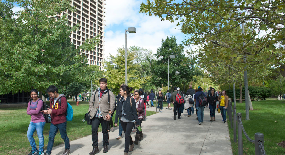 a ethnically diverse group of students walking on east side under a biodiverse tree canopy