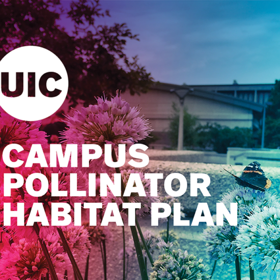 color wash cover of the Campus Pollinator Habitat Plan