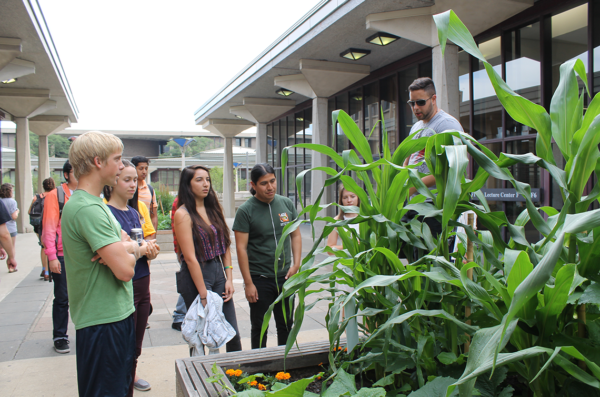 Students stand near a Heritage Garden satellite bed listening to a speaker talk about the plants in the garden