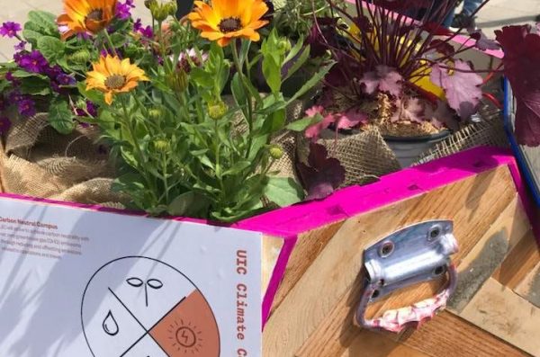 gardening installation featuring 