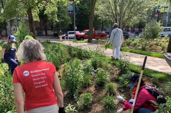 volunteers learn about native plant gardening